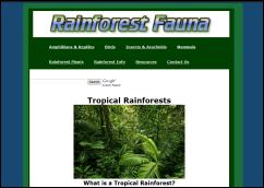 rainforestfauna.com